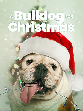 A Bulldog for Christmas